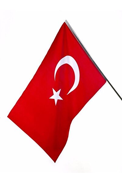 Vatan Sopalı Türk Bayrağı 30*45 Cm (61 Adet)