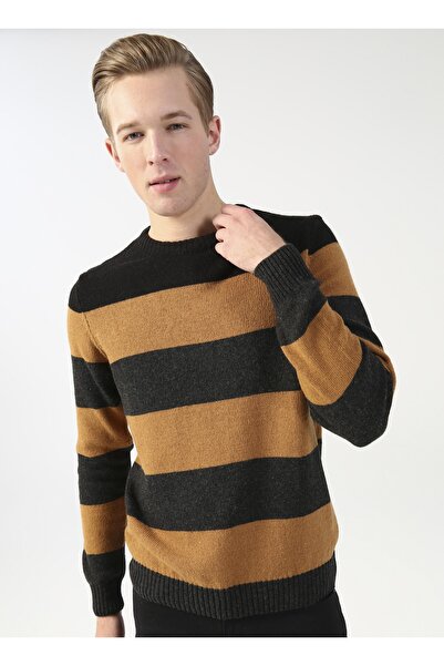 LİMON COMPANY Limon Bisiklet Yaka Çizgili Antrasit Melanj Erkek Kazak Merpa