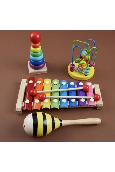 SAMTOYS Wooden Educational Set of 4