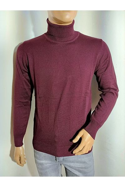 Raymons Regular Fit Medium Thick Turtleneck Sweater