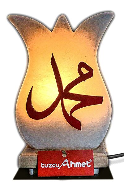 Decorative Salt Lamp