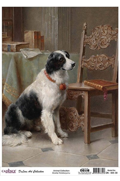 Cadence مجموعة فريندز Dk05 - ديكوباج كلب أرز 30*42 سم