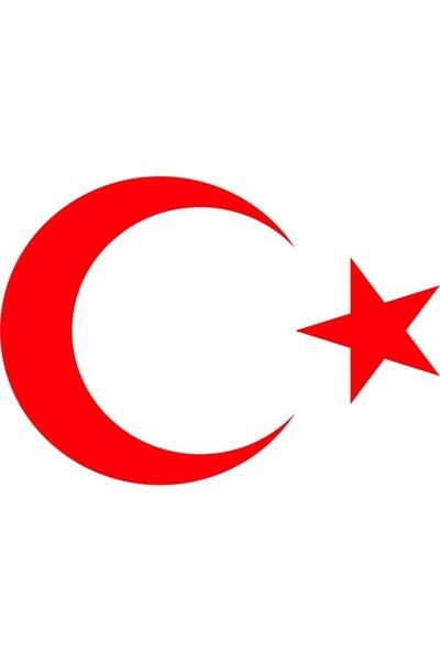 Tekin Store ملصق العلم التركي نجمة القمر ملصق السيارة 30 سم × 22 سم
