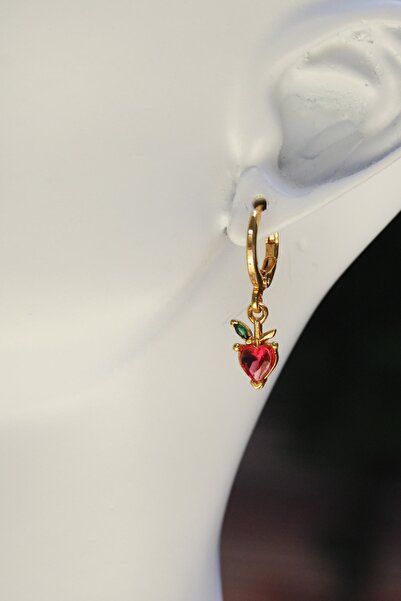 Rua Jewelry Zirkon Taşlı Elma Halka Küpe Altın Renk (Y)1cm/(G)6mm