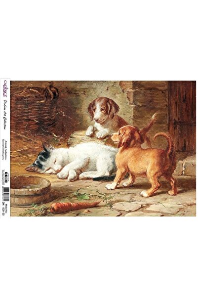 Cadence مجموعة فريندز Dk09 - ديكوباج أرز للقطط والكلاب 30*42 سم