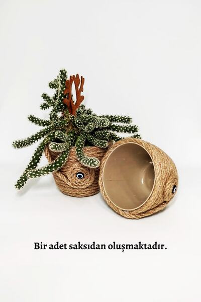 nftart.design Nazar Boncuklu & Hasır Jüt Ip Tekli Sukulent Saksı