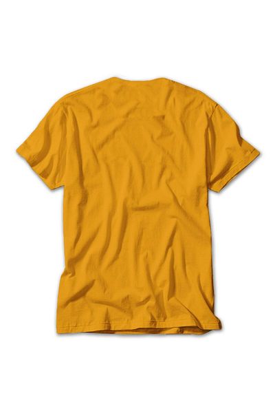 Z zepplin Down Diary Of A Mad Band Europe In The Year Of Vi Yellow T-shirt