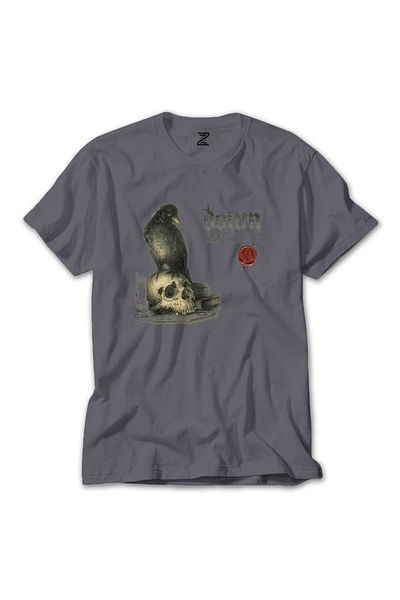 Z zepplin Down Diary Of A Mad Band Europe In The Year Of Vi Grey T-shirt