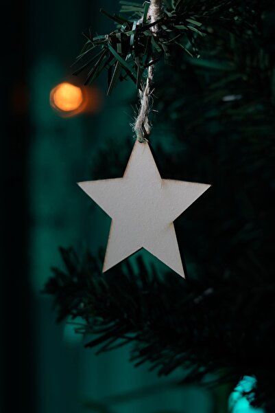 Elfora Star Patterned Pine Tree Gift - 5 Wooden Ornaments