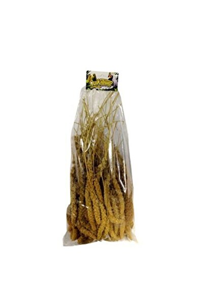 Jungle Doğal Darı Kuş Ödülü 500 gr