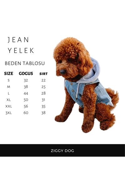 ZIGGYDOG Köpek Jean Yelek Gri Kapşonlu