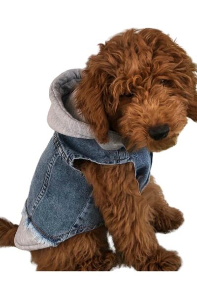 ZIGGYDOG Köpek Jean Yelek Gri Kapşonlu