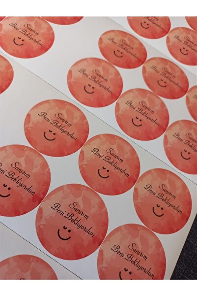 anka design Coated Sticker 4x4 cm48 Pieces - I Think You Were Waiting for Me-