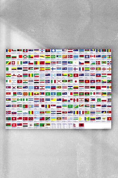 Postermanya Ülke Bayrakları Eğitim Posteri (60x90cm)