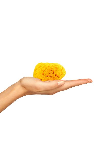 BAZAAR 4 Sea Sponge Baby Size Baby Size (13-17) GrBz-0081