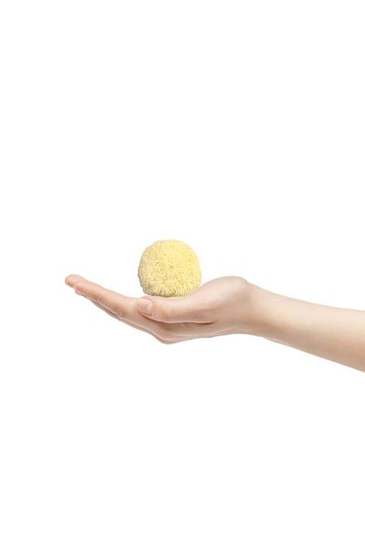 BAZAAR 4 Sea Sponge Baby Size Baby Size (10-13) GrBz-6410