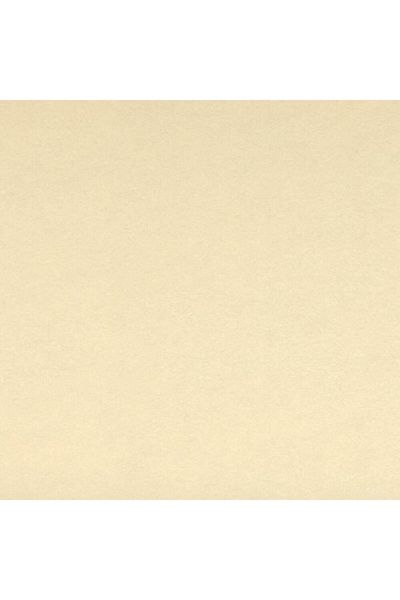 Canson Natural 220 G. A5 30 Page Drawing Notebook