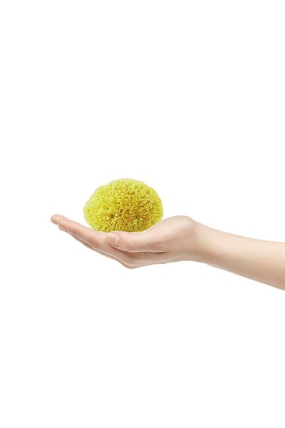 BAZAAR 4 Sea Sponge Baby Size Baby Size (13-17) GrBz-9711
