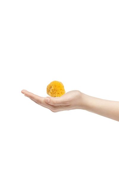BAZAAR 4 Sea Sponge Baby Size Baby Size (8-10) GrBz-0126