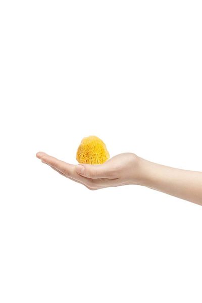 BAZAAR 4 Sea Sponge Baby Size Baby Size (8-10) GrBz-0987