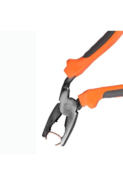 Fox Kargaburun-kavrama Pensesi