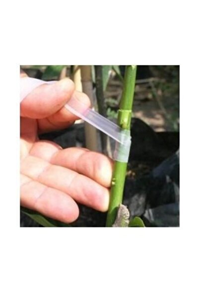 Genel Markalar 40 metre Şeffaf Ağaç Aşı Bandı (250 gr)