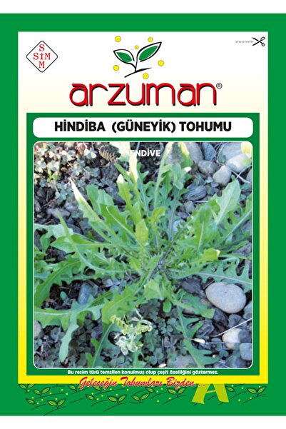 Arzuman Hindiba (güneyik) Marul Tohumu 5 Gram