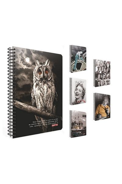 Gıpta Capital A4 100 Sheets Checked Hard Kpk Spiral Notebook (2089)