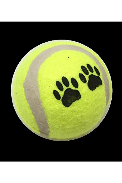 Genel Markalar Tenis Topu