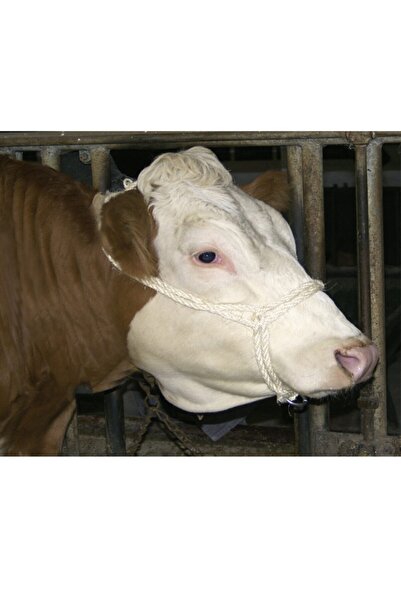 Farmena Pratik Boğa Yuları Halat