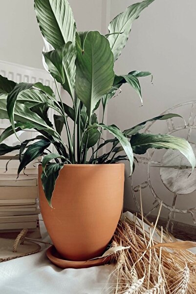 Suba Kristal El Yapımı Büyük Boy Toprak Saksı