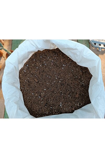 PLANTİS BOTANİK Kaktüs Ve Sukulent Özel Karışım Toprak 5 lt
