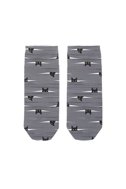 FARM ANİMALS Черен котарак с шарки