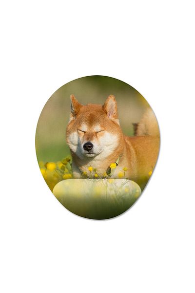 Pixxa Shiba Inu - موديل لوحة ماوس مدعومة للمعصم للكلاب - 3 بيضاوي