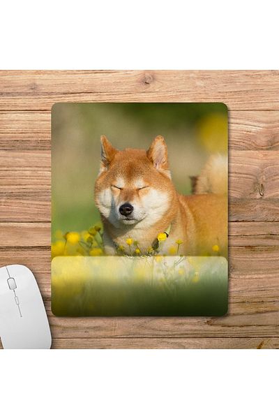 Pixxa Shiba Inu - موديل لوحة ماوس مدعومة بالكاحل للكلاب - 3