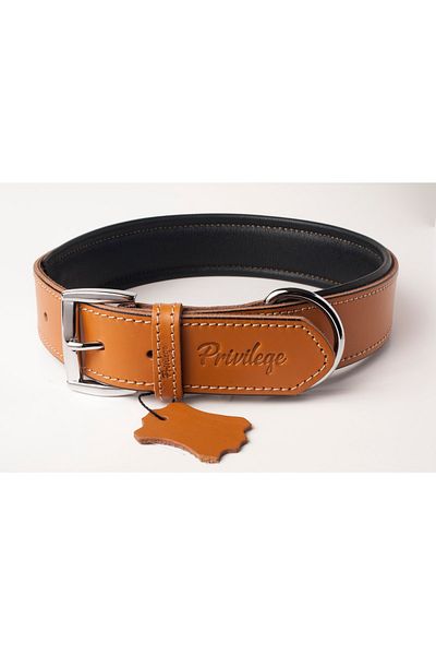 Privilege طوق كلب من الجلد الطبيعي Xs Camel 2x29-37 سم