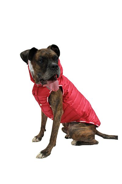 Pawstar Sport Dog Vest Coat for Medium and Large Breeds Red