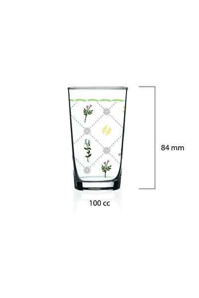 Mary Liz Cassidy 6'lı Kahve Yanı Su Bardağı