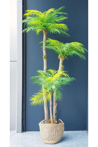 Le Atölye Yapay Areka Palmiyesi Galvanizli Ve Hasır Saksılı
