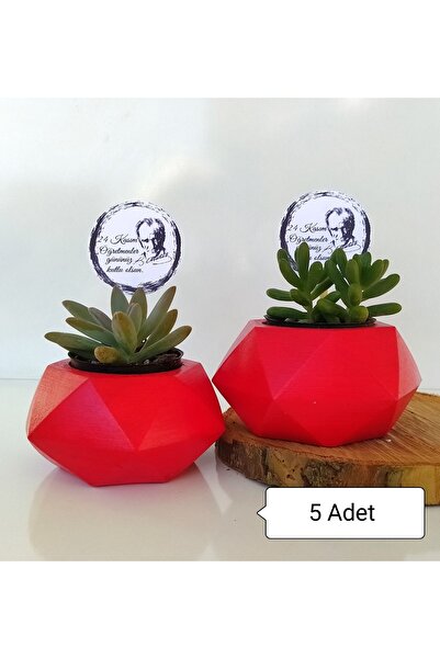 ORGANİZASYON HEDİYEM 5 Adet Öğretmenler Gününe Özel Geometrik Taş Saksılı Canlı Sukulent Kurumsal
