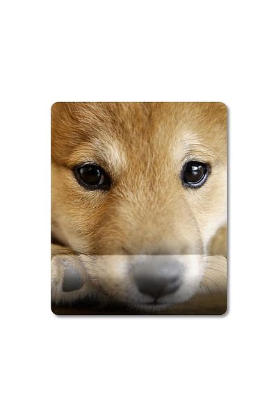 Pixxa Shiba Inu - موديل لوحة ماوس مدعومة بالكاحل للكلاب - 2