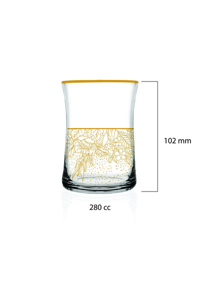 Mary Liz Shiny 6'lı Su Bardağı