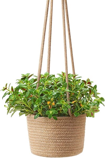 MaVaux Jüt Ipten Duvar Saksısı, Dekoratif Duvar Saksısı, Duvar Organizeri, Jüt Saksı, Hasır Duvar Saksısı