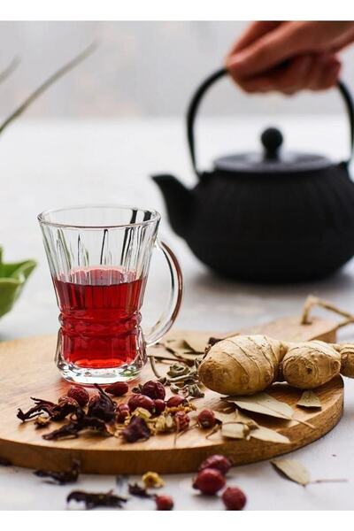 LAV Kuupa VNS405 Venus 6-Piece Tea Cup with Handle