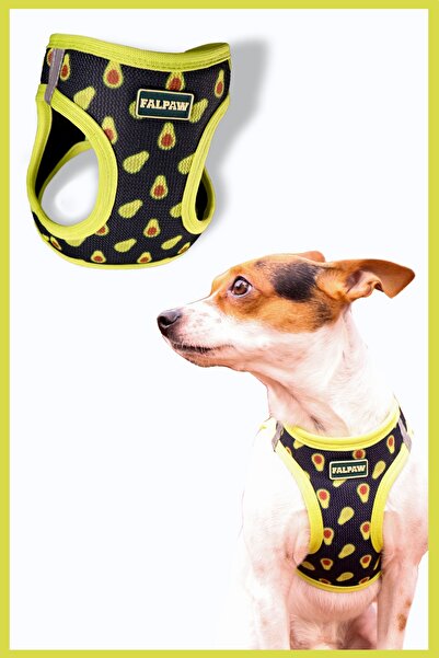 Falpaw -köpek Göğüs Tasması, Kaliteli, Yumuşak, Hava Alan, Desenli Tasma (avokado, Xxs)