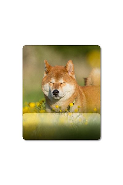 Pixxa Shiba Inu - موديل لوحة ماوس مدعومة بالكاحل للكلاب - 3
