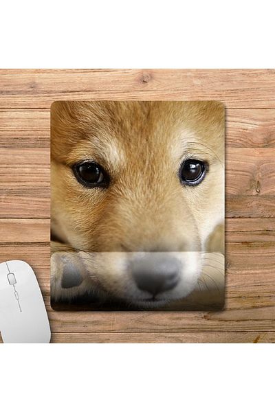 Pixxa Shiba Inu - موديل لوحة ماوس مدعومة بالكاحل للكلاب - 2