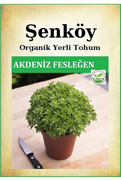 Şenköy Yerli Top Fesleğen Tohumu Doğal Ata Top Reyhan Tohumu Pakette 200 Tohum
