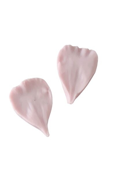 PASTRY PLANET 2 Li Yaprak Şeker Hamuru Silikon Kalıbı