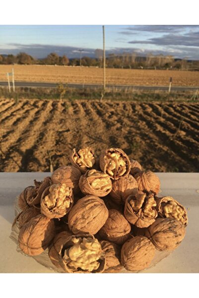 SULTAN CEVİZ BAHÇELERİ 1 Kg Lüks Ceviz Ince Kabuklu Chandler Cinsi Kuru Ceviz Yeni Hasat